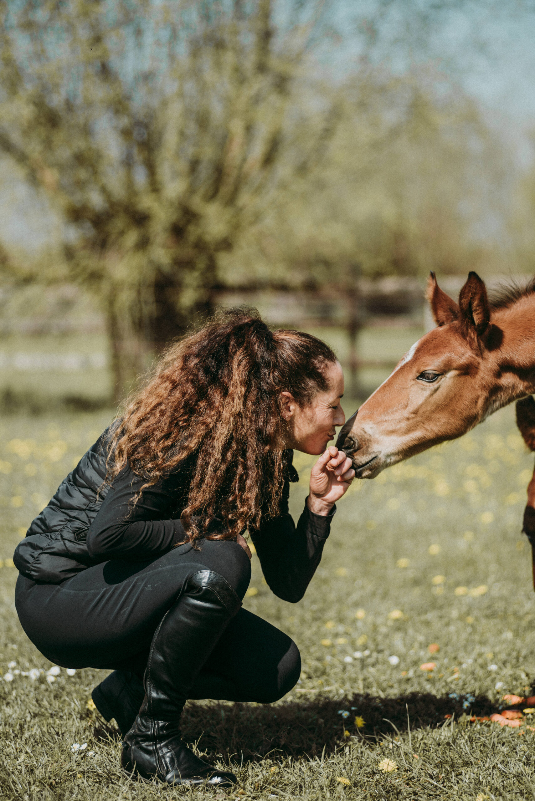 Coachingssessie tussen mens en paard voor emotionele verbinding.