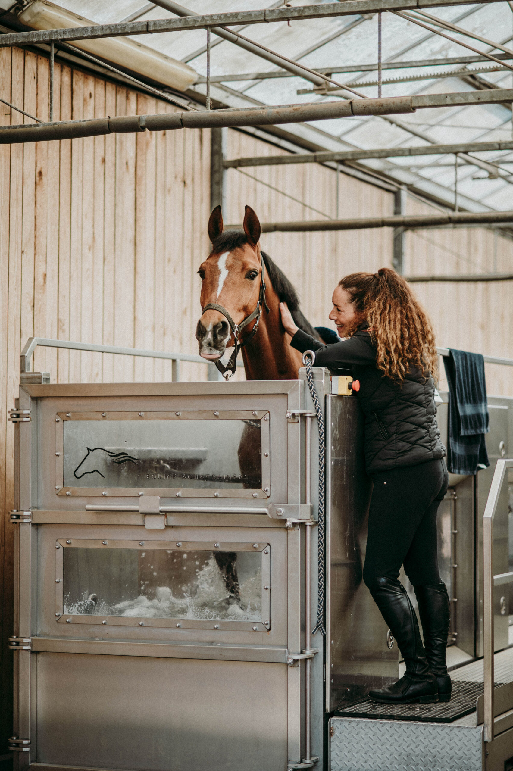 Paard in aquatraining voor optimale revalidatie bij Horsemac